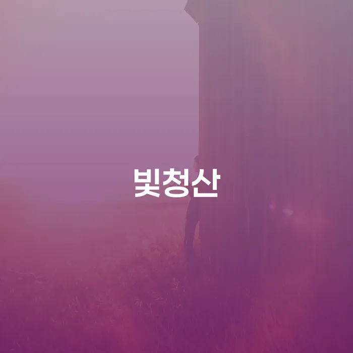 개인회생 법무사 비용 무이자 자체 분납 가능하고 개인회생으로 해결 경험 많은 곳에서