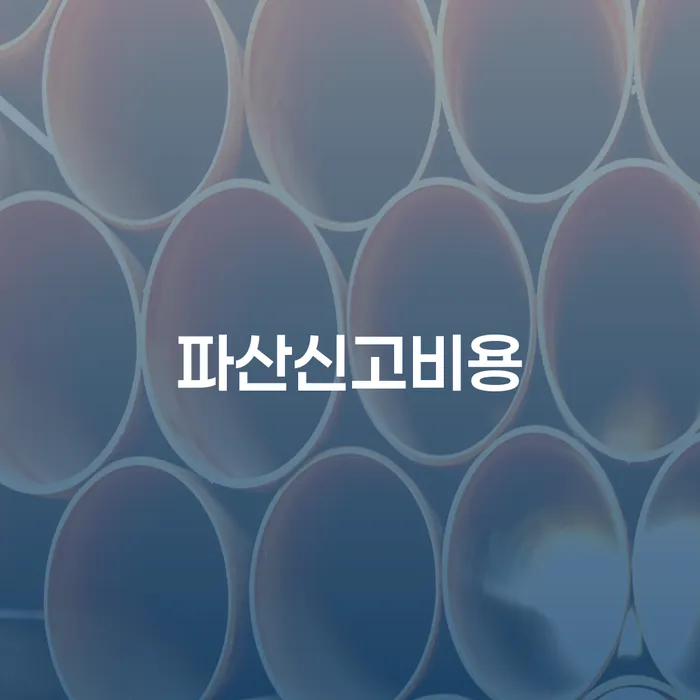 개인파산회생실무 채무조정제도을 이용하여 검토를 한 다음에는
