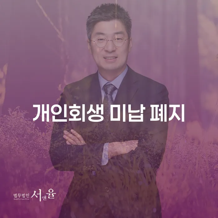 광진구 보험설계사대출 연체 시 개인회생 문제해결방법 이렇게 진행을