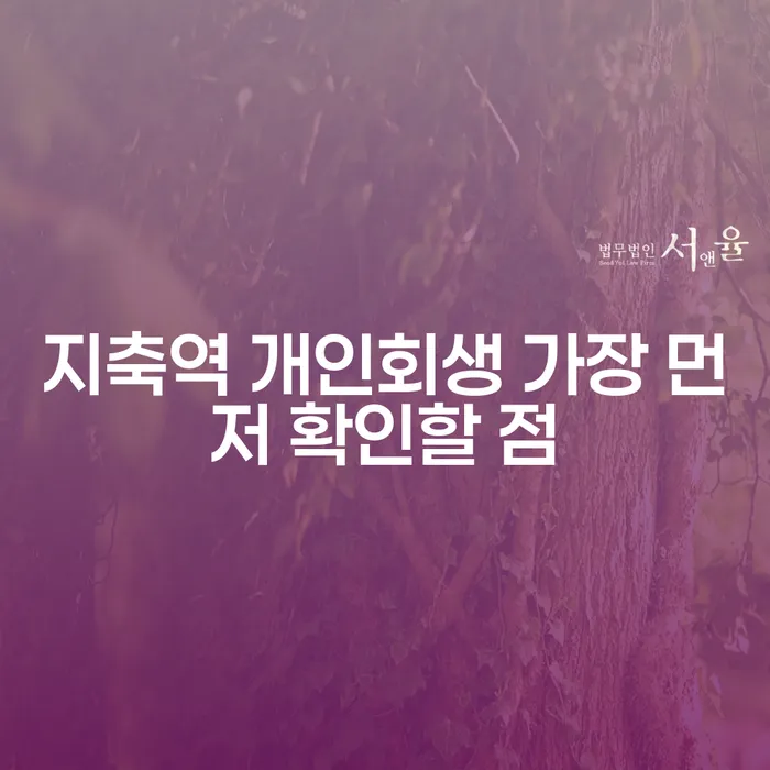지축역 개인회생 가장 먼저 확인할 점