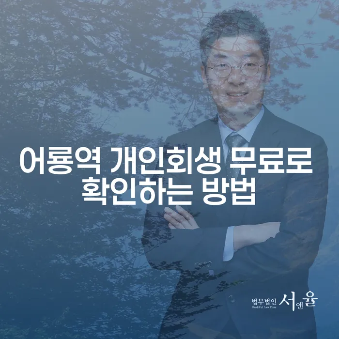 어룡역 개인회생 무료로 확인하는 방법