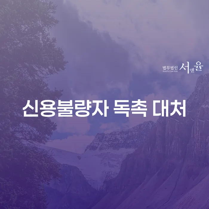 신용불량자 독촉 대처: 어떻게 하면 좋을까요?