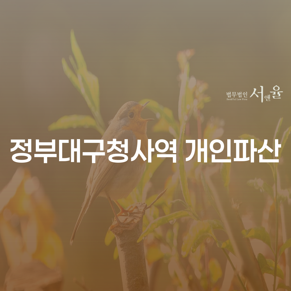 정부대구청사역 개인파산과 개인회생의 이해