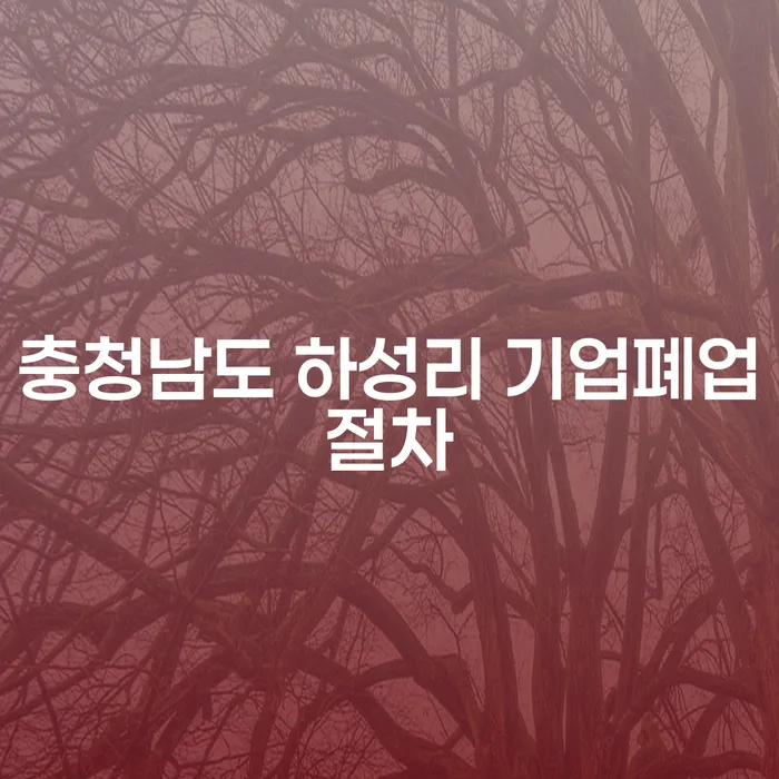 충청남도 하성리 기업폐업절차와 주식대출 7000만원 개인회생, 어떻게 시작해야 할까?