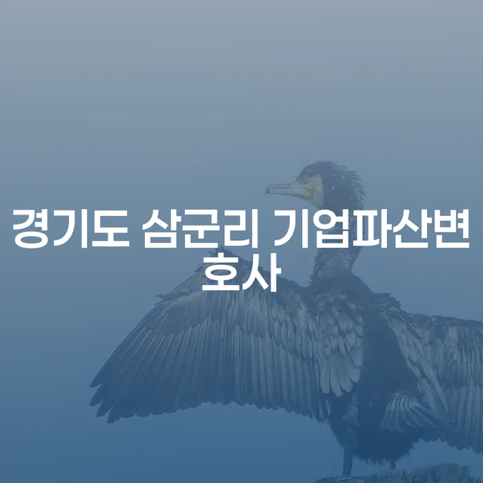 경기도 삼군리에서 기업 파산을 고민 중이신가요? 대구에서 개인 회생 전문 변호사가 필요하신가요?
