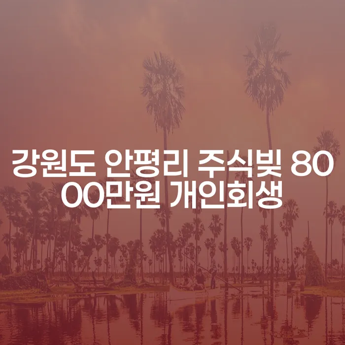 강원도 안평리 주식빚 8000만원, 개인회생이 답일까요?