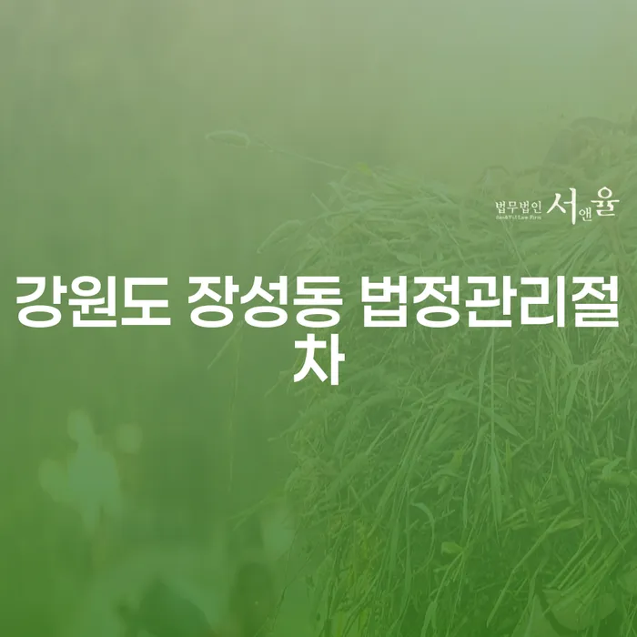 강원도 장성동 법정관리절차와 개인채무 해결, 어떻게 접근해야 할까요?